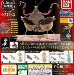 Encyclopedia of living things Mantis 02 MIni Figure Gashapon Toy Full set