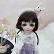 Full Set 1/6 Bjd Doll Sd Resin Joint Eyes Face Makeup Clothes Cute Girl Doll Toy