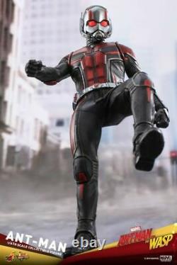 Hot Toys 1/6 Ant-Man and the Wasp AntMan Action Figure MMS497 Full Set Model Toy