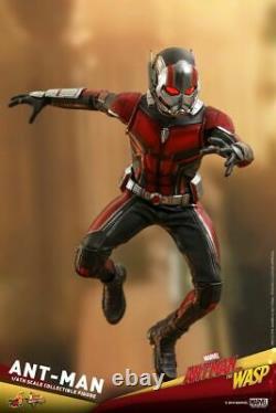 Hot Toys 1/6th Ant-Man and the Wasp AntMan Action Figure MMS497 Full Set
