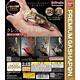 Ikimono Encyclopedia Advanced Crested Gecko Capsule Toy Figure Set Of 4 Full Set