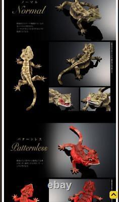Ikimono Encyclopedia Advanced Crested Gecko capsule toy figure Set of 4 Full set