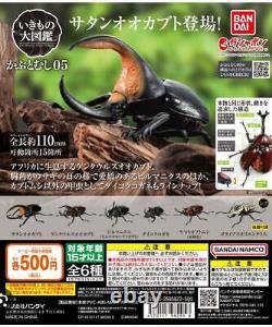 Ikimono Encyclopedia Capsule toy Figure Beetle 05 Full Complete Set Bandai 2023