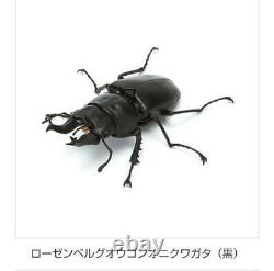 Ikimono Encyclopedia Kuwagata 03 Gacha Toy Figure Set of 5 Full Set Bandai