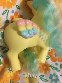 My Little pony G1 Rainbow Curl Full Set (Raincurl Reroot)