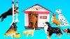 Toy Dogs School Playset For Kids Learn Animal Names For Kids