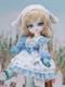 1/6 Maquillage Corporel Animal Poupée Bjd Résine Fille Articulée Set Complet De Visage Perruque Yeux