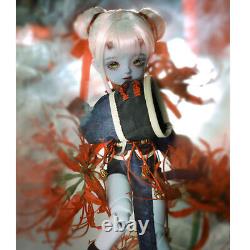 1/6 Poupée BJD Ensemble Complet Fille Féerique Jouet Cadeau Corps en Résine Articulé à Billes Yeux Perruque Tenues