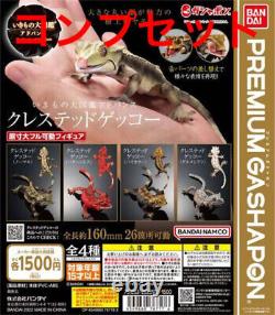Encyclopédie Ikimono - Collection de figurines en capsule de gecko à crête avancé - Ensemble de 4 figurines - Ensemble complet