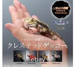 Encyclopédie Ikimono - Ensemble de figurines de jouet en capsule Gecko à crête avancé - Ensemble complet de 4 pièces.
