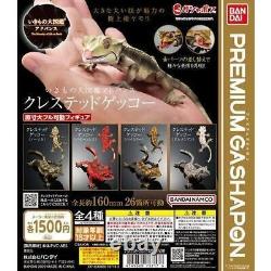 Encyclopédie Ikimono Figurines de jouet capsule Gecko à crête avancé Ensemble de 4 Ensemble complet