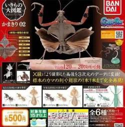 Encyclopédie des êtres vivants Mantis 02 Mini Figurine Jouet Gashapon Ensemble complet