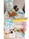 Ensemble Complet De 10 Amuseables Jellies Fish & Chips Exclusifs Jellycat Chez Selfridges