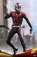 Hot Toys 1/6th Ant-man And The Wasp Antman Action Figure Mms497 Full Set