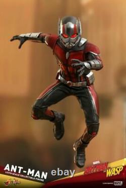 Hot Toys 1/6th Ant-man And The Wasp Antman Action Figure Mms497 Full Set