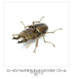 Ikimono Encyclopedia Kuwagata 03 Gacha Jeu De Figurine De Jouet De 5 Ensemble Complet Bandai