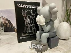 Kaws Companion Passing Through Brand New Etui Jouets 28cm / 11inc