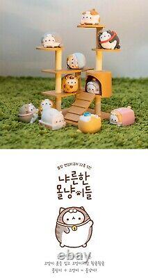 Molang Lapin Cat Costume #5 Bunny Blind Box Cute Art Toy Figurine Poupée 1pc Ou Set