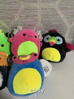 Squishmallows 5 Pouces Exclusive Full Set Brand New Fast Shipping Cute #2